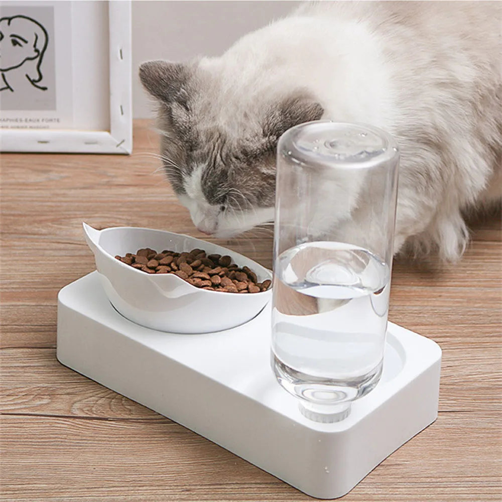 Elevated Cat Feeding Station with Tilted Bowls and Gravity Water Dispenser 1