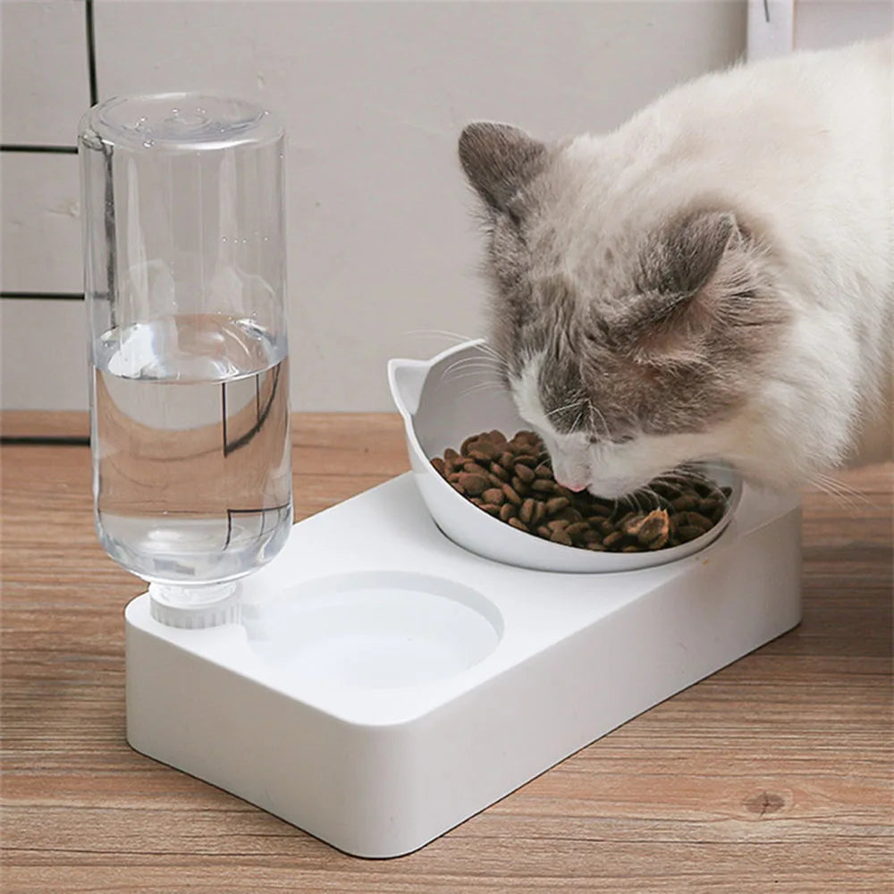 Elevated Cat Feeding Station with Tilted Bowls and Gravity Water Dispenser 2