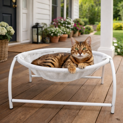 Elevated cat hammock bed featuring breathable mesh fabric and a sturdy sofa-style frame, perfect for indoor lounging and relaxation. 5