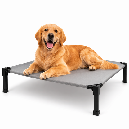 Elevated dog bed featuring a breathable mesh surface and a durable steel frame, designed to be chew-proof for both indoor and outdoor use. 0