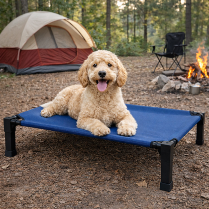 Elevated dog bed featuring a breathable mesh surface and a durable steel frame, designed to be chew-proof for both indoor and outdoor use. 1