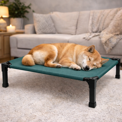 Elevated dog bed featuring a breathable mesh surface and a durable steel frame, designed to be chew-proof for both indoor and outdoor use. 2