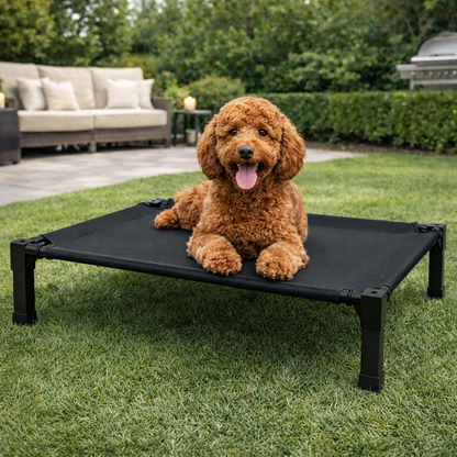 Elevated dog bed featuring a breathable mesh surface and a durable steel frame, designed to be chew-proof for both indoor and outdoor use. 4