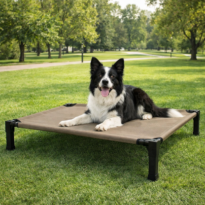 Elevated dog bed featuring a breathable mesh surface and a durable steel frame, designed to be chew-proof for both indoor and outdoor use. 6
