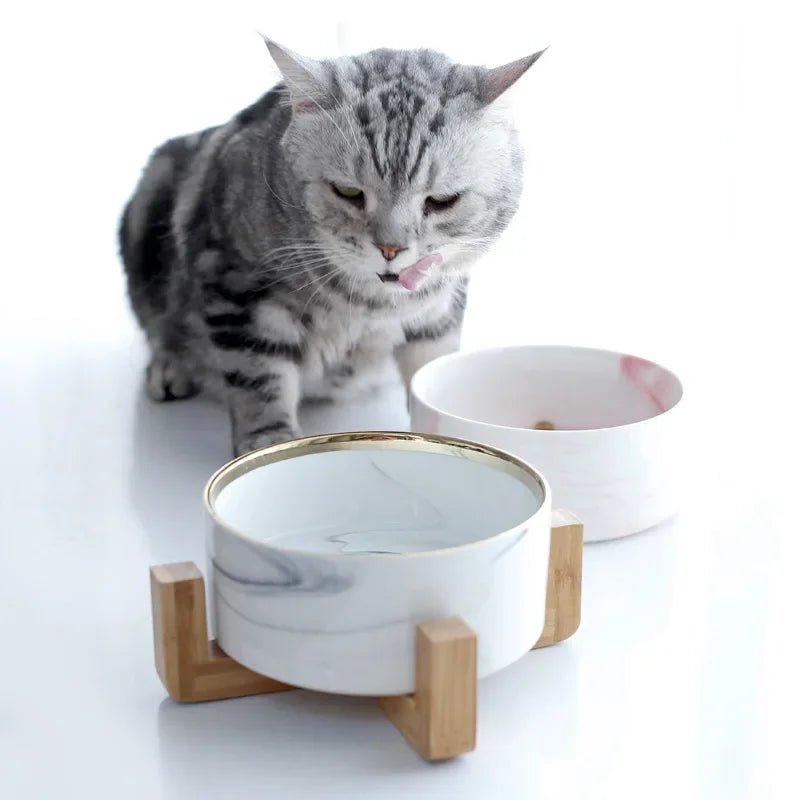Elevated Marble Ceramic Pet Bowl with Wooden Stand for Small Dogs and Cats – Stylish Double Bowl for Food and Water 1