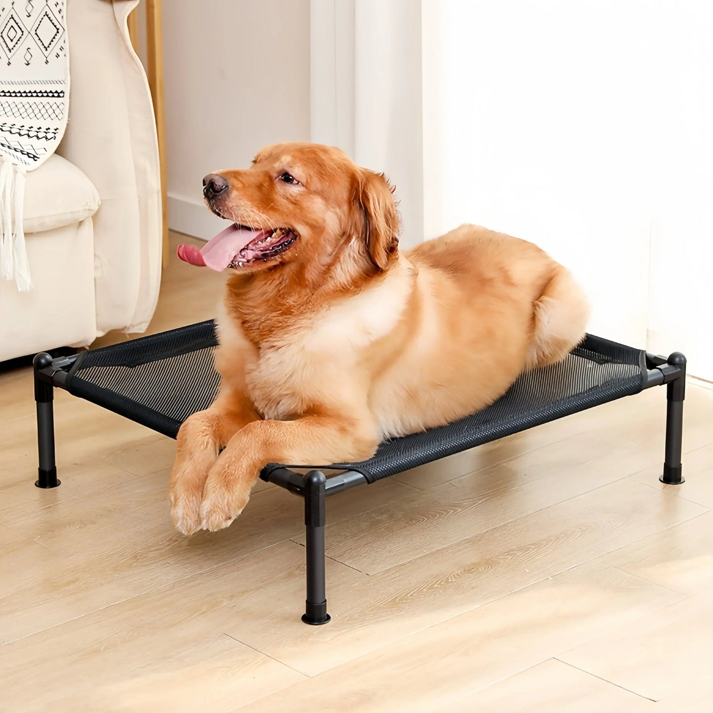 Elevated Pet Bed for Dogs and Cats – Breathable Mesh Design, Sturdy Frame, Ideal for Large and Small Pets 1