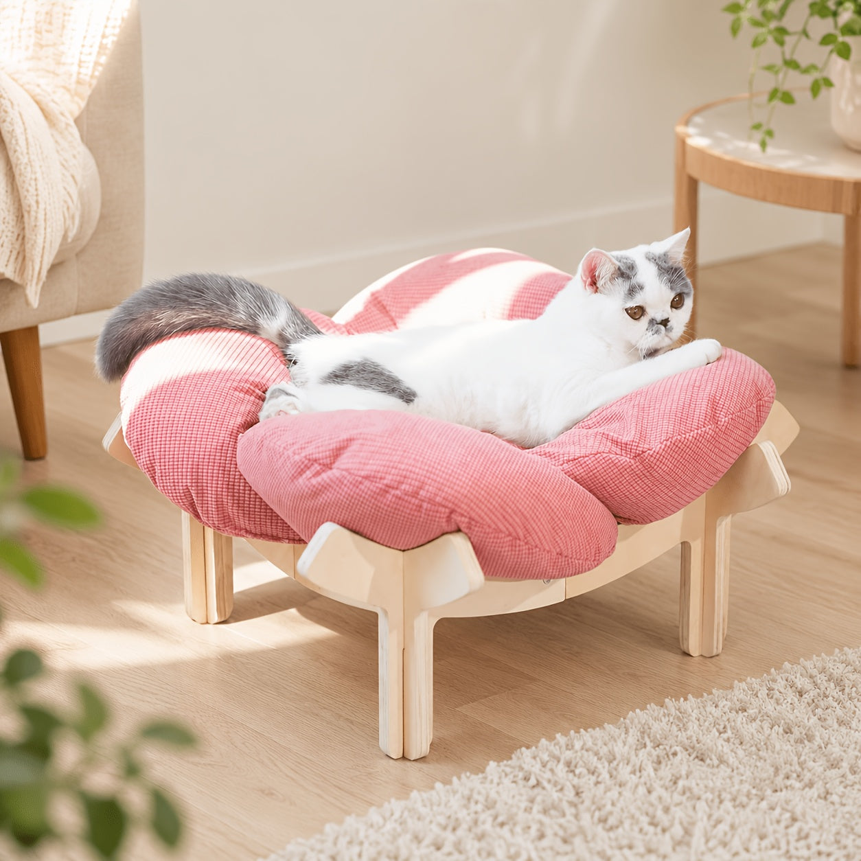 Elevated pet bed with a washable cushion, featuring a modern wooden design, ideal for cats and small dogs. 9