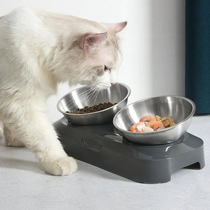 Elevated Stainless Steel Cat Bowl for Improved Digestion and Comfort 2