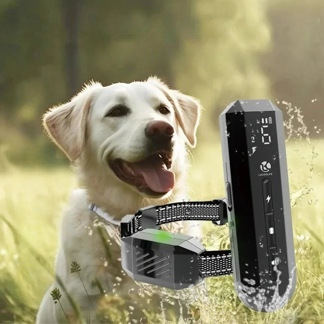 Ergonomic Dog Training Collar with Remote Control – E Collar for Dogs, 3 Modes, Water Resistant, Long Range 400m 2