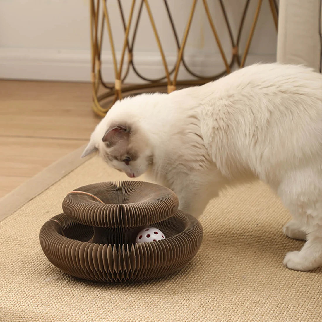 Expandable Accordion Cat Scratcher Toy with Interactive Ball – Durable and Eco-Friendly Design 7