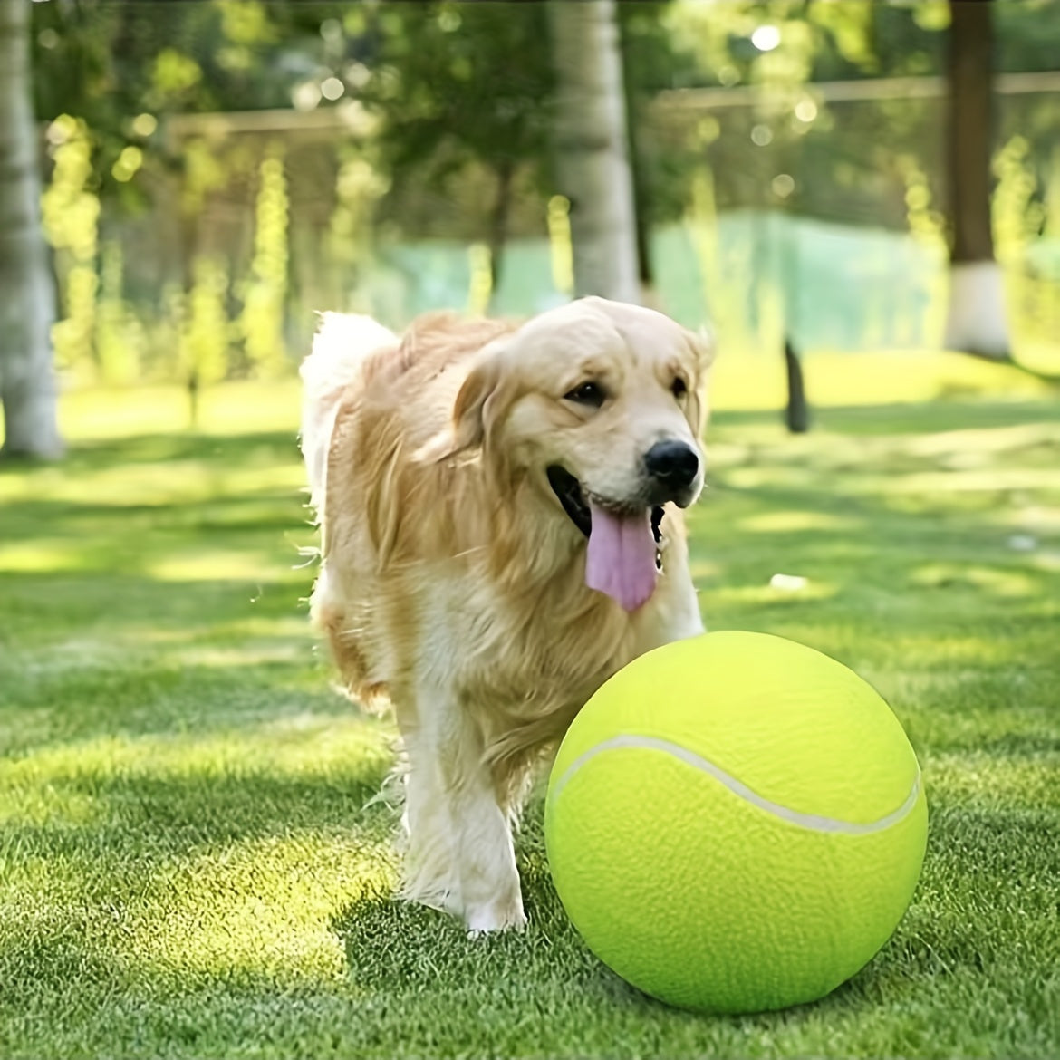 Extra Large Tennis Ball for Large Dogs – Durable Non-Toxic Rubber, 24cm Diameter, High Visibility for Outdoor Play 2