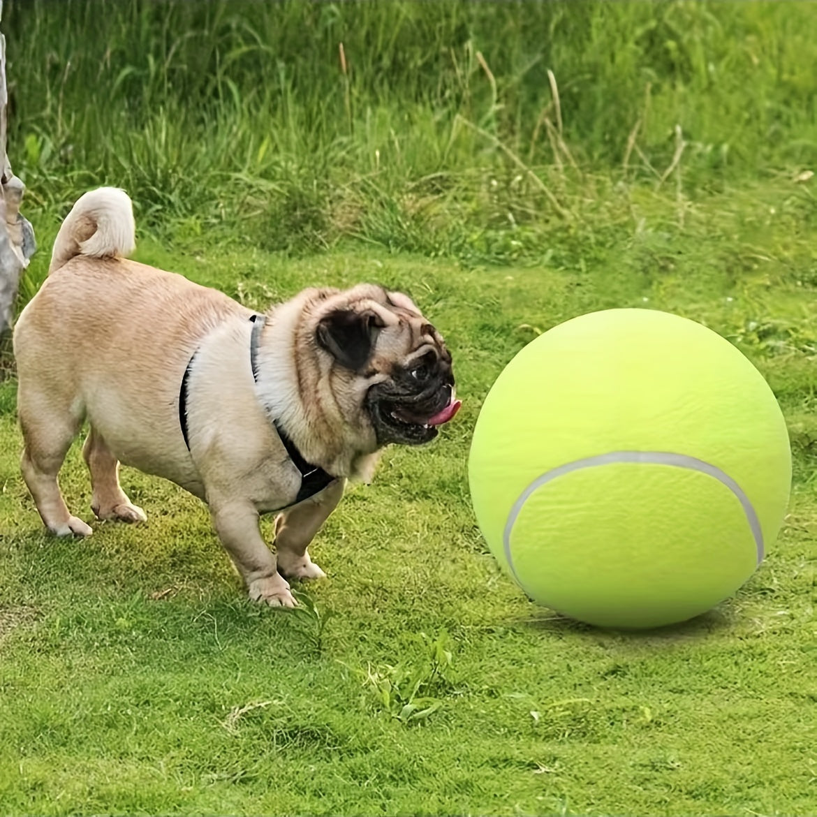 Extra Large Tennis Ball for Large Dogs – Durable Non-Toxic Rubber, 24cm Diameter, High Visibility for Outdoor Play 6