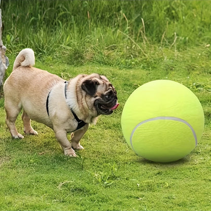 Extra Large Tennis Ball for Large Dogs – Durable Non-Toxic Rubber, 24cm Diameter, High Visibility for Outdoor Play 6