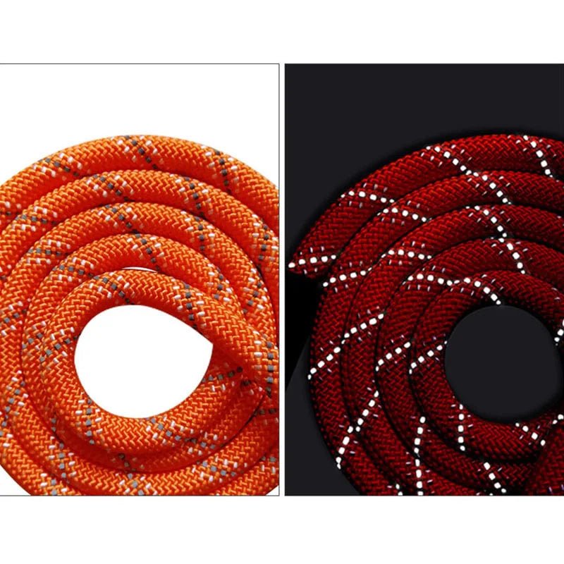 Extra Long Reflective Dog Leash – Durable Nylon, Comfortable Foam Handle, Ideal for Training and Walking, Available in 10m, 15m, 20m 5