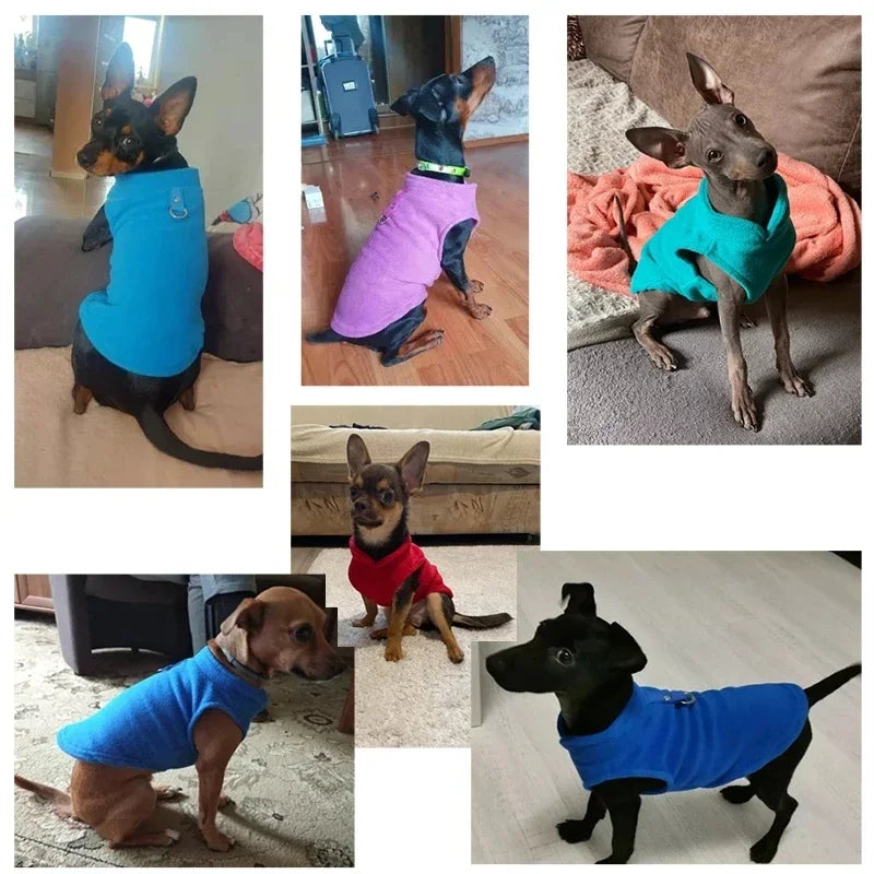 FleecePaw | Warm Dog Coat for Small Dogs 4
