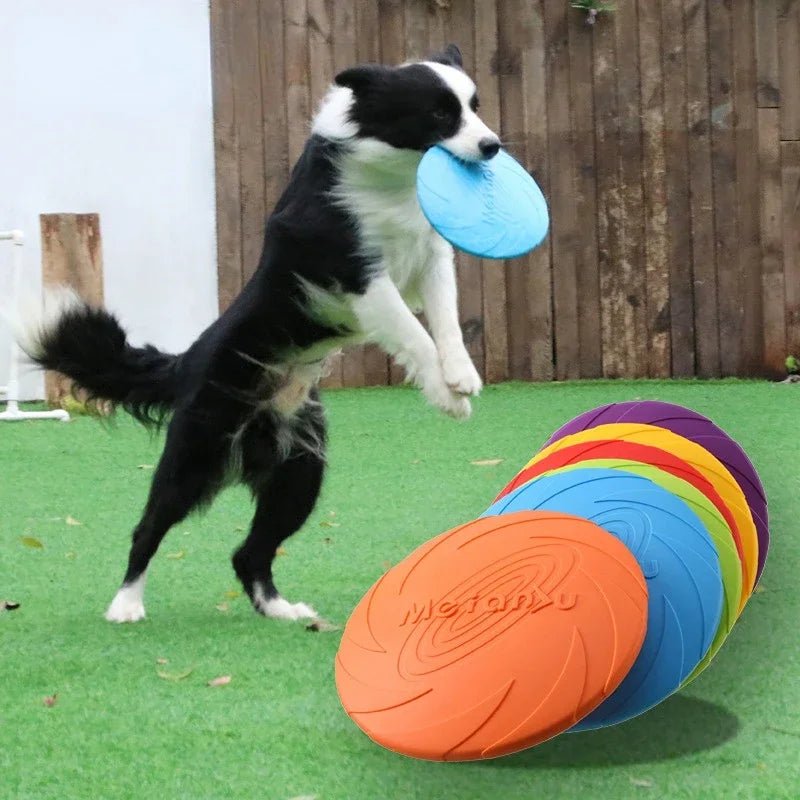 Flexible Silicone Dog Frisbee Toy for Fun and Dental Care – Safe and Durable 2
