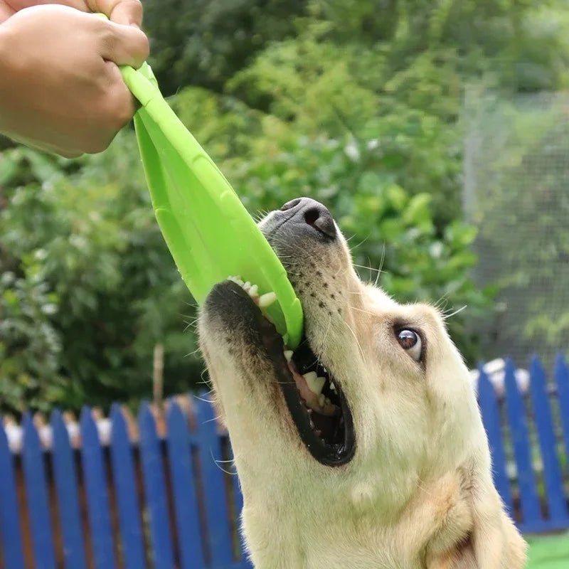 Flexible Silicone Dog Frisbee Toy for Fun and Dental Care – Safe and Durable 3