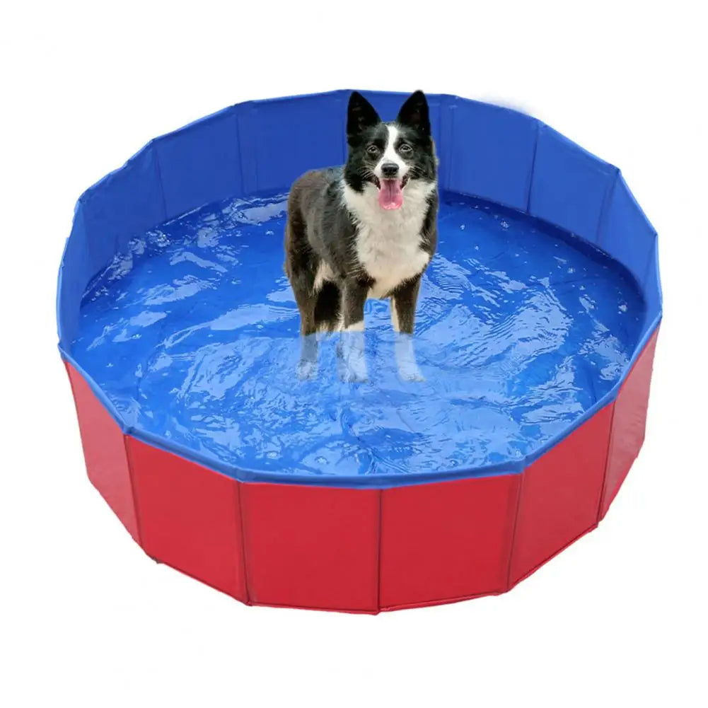 Foldable Dog Pool – Durable and Portable Canine Swimming Pool for Indoor and Outdoor Use 4