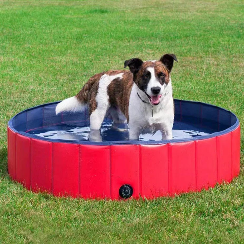 Foldable Dog Pool for Summer Fun – Portable Sturdy Pet Pool for Dogs and Cats, Easy to Set Up, Compact Design 1