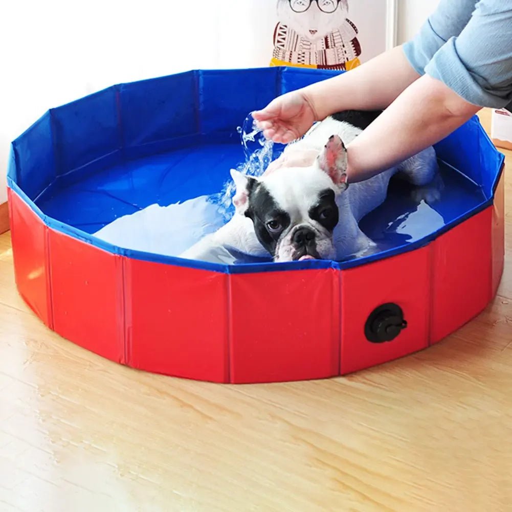 Foldable Dog Pool for Summer Fun – Portable Sturdy Pet Pool for Dogs and Cats, Easy to Set Up, Compact Design 2