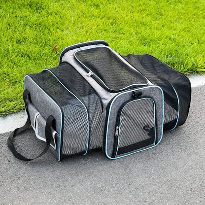 Foldable Pet Carrier Bag for Small Pets – Lightweight, Portable Design with Mesh Ventilation and Secure Zipper Closure 1