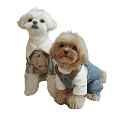 Four-Legged Harness Jumpsuit for Pets – Comfortable, Stylish Design, Breathable Fabric, Multiple Sizes and Colors Available 1