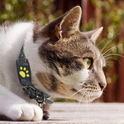 GPS Cat Tracker with Real-Time Location Updates – Lightweight Cat GPS Collar for Pet Safety 0