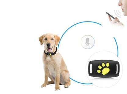 GPS Cat Tracker with Real-Time Location Updates – Lightweight Cat GPS Collar for Pet Safety 3