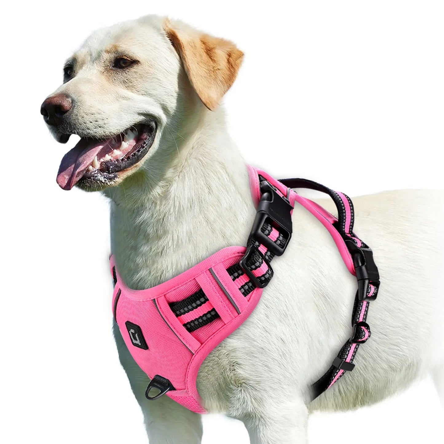 GentleStep | Adjustable Dog Harness for Comfort 2