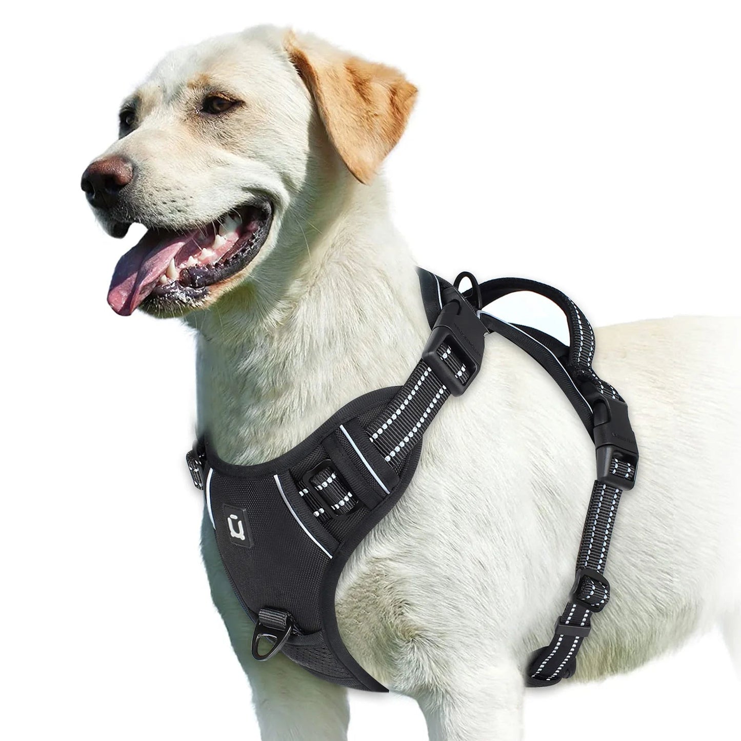 GentleStep | Adjustable Dog Harness for Comfort 3