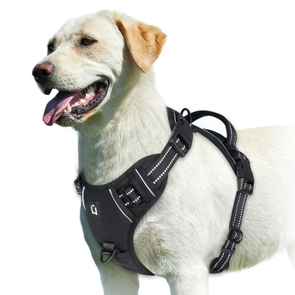 GentleStep | Adjustable Dog Harness for Comfort 3