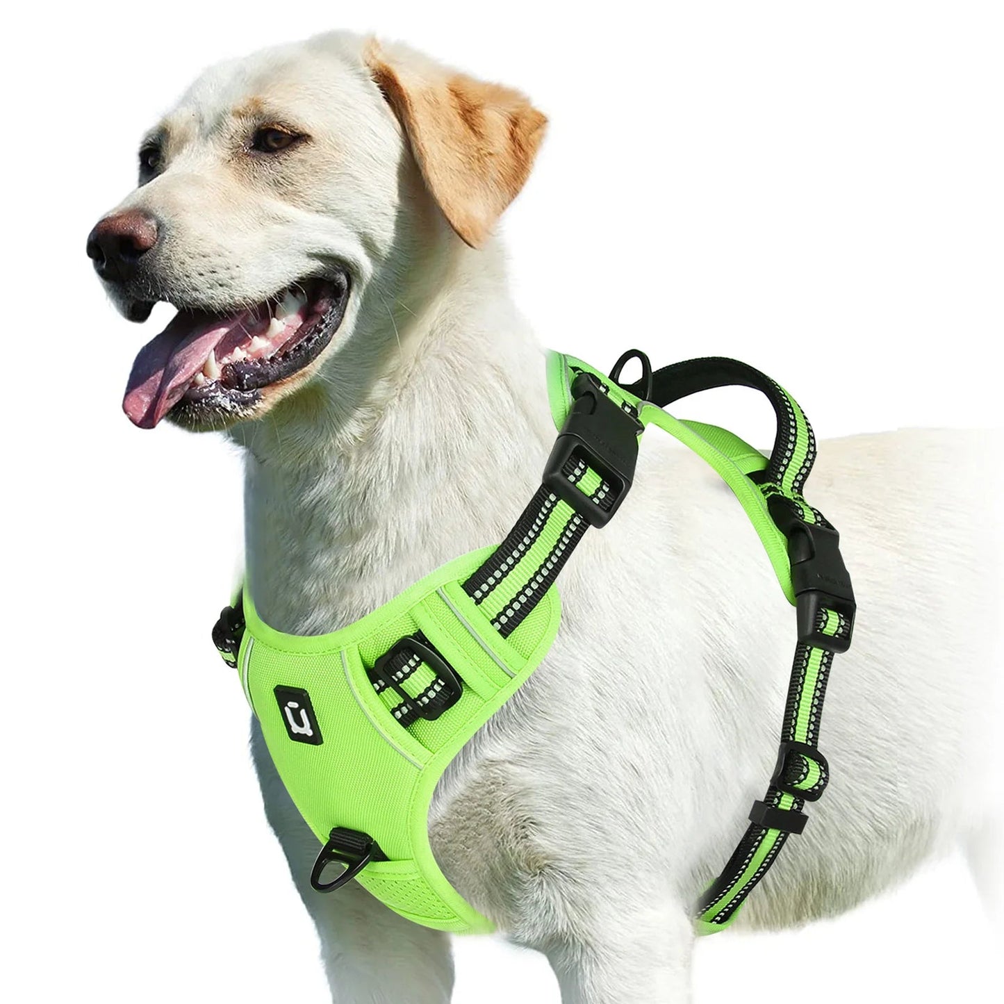 GentleStep | Adjustable Dog Harness for Comfort 4