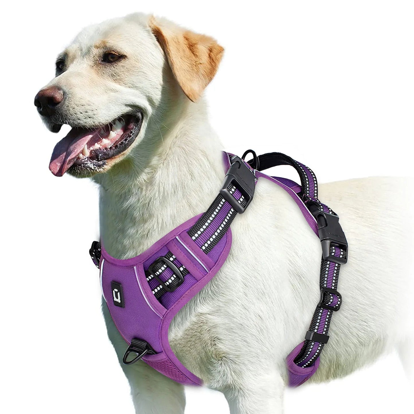 GentleStep | Adjustable Dog Harness for Comfort 5