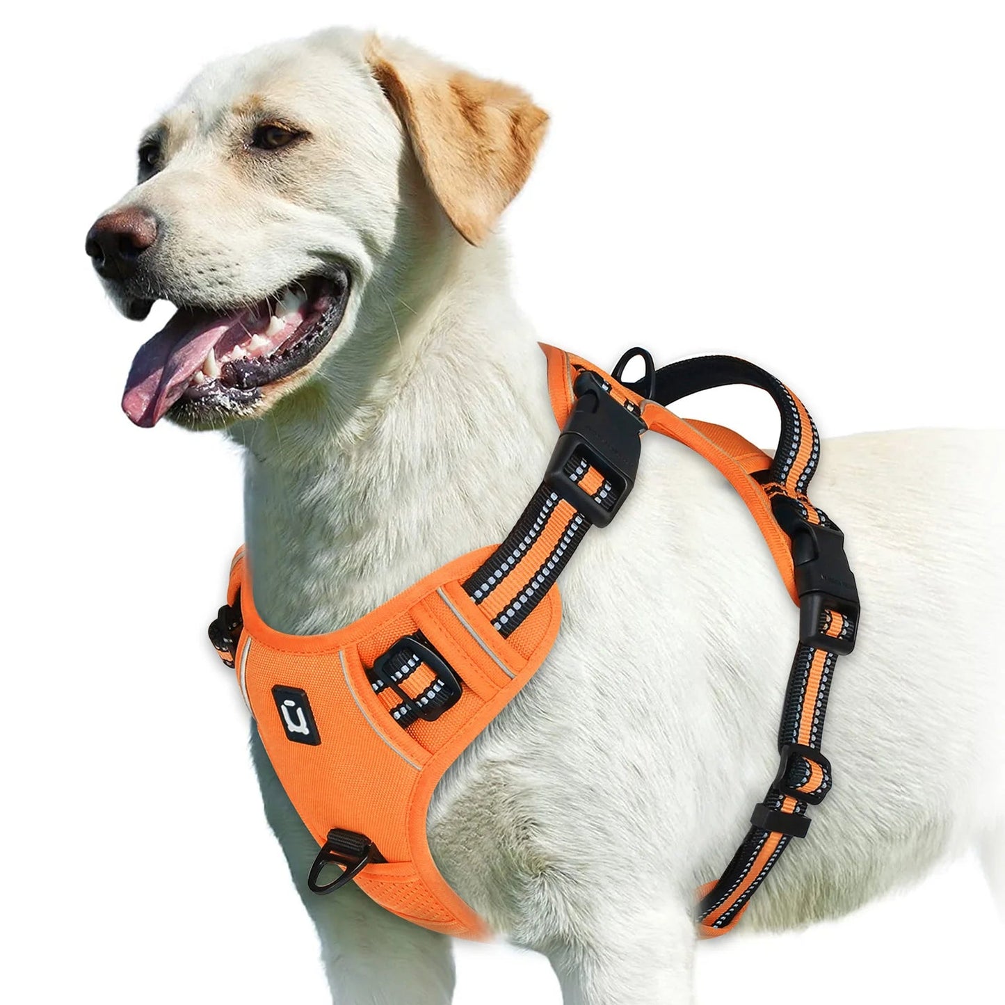 GentleStep | Adjustable Dog Harness for Comfort 6