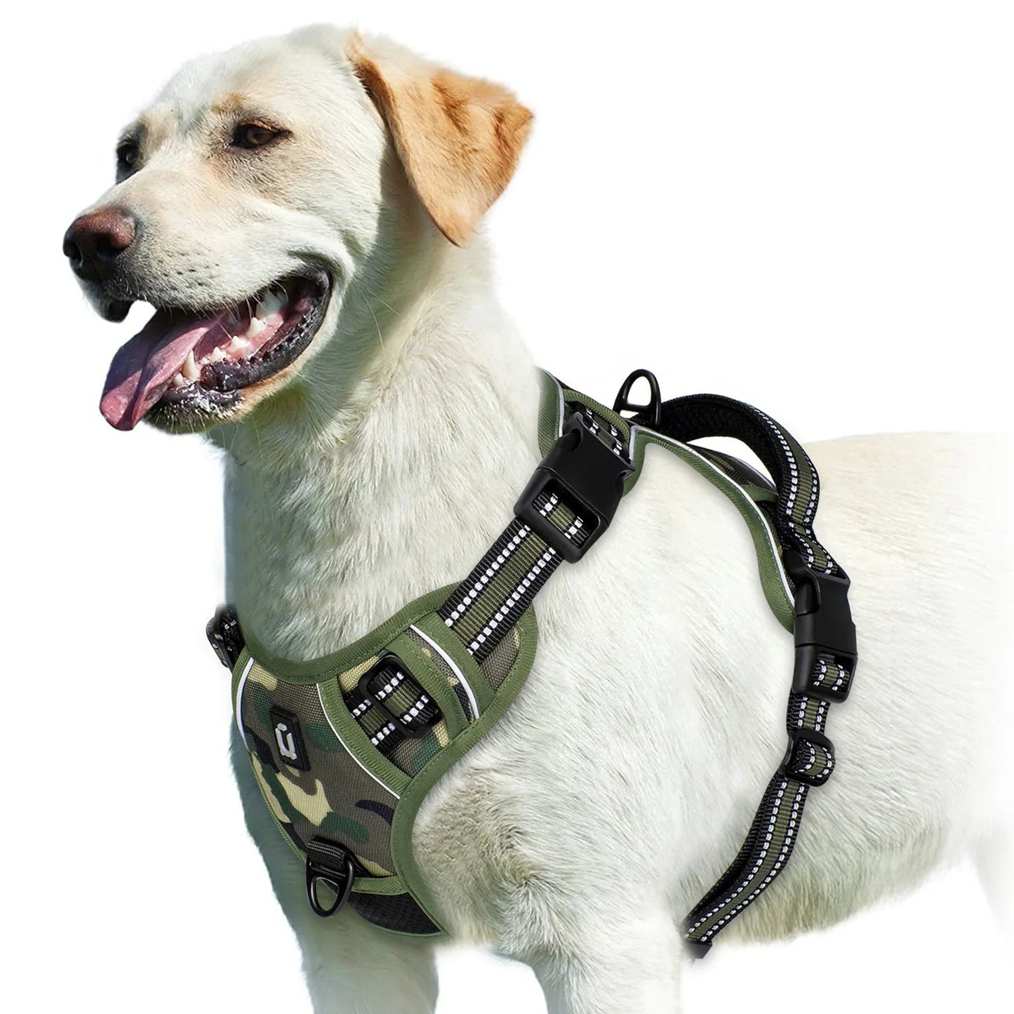 GentleStep | Adjustable Dog Harness for Comfort 7