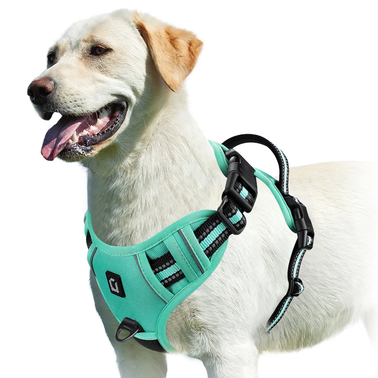 GentleStep | Adjustable Dog Harness for Comfort 8