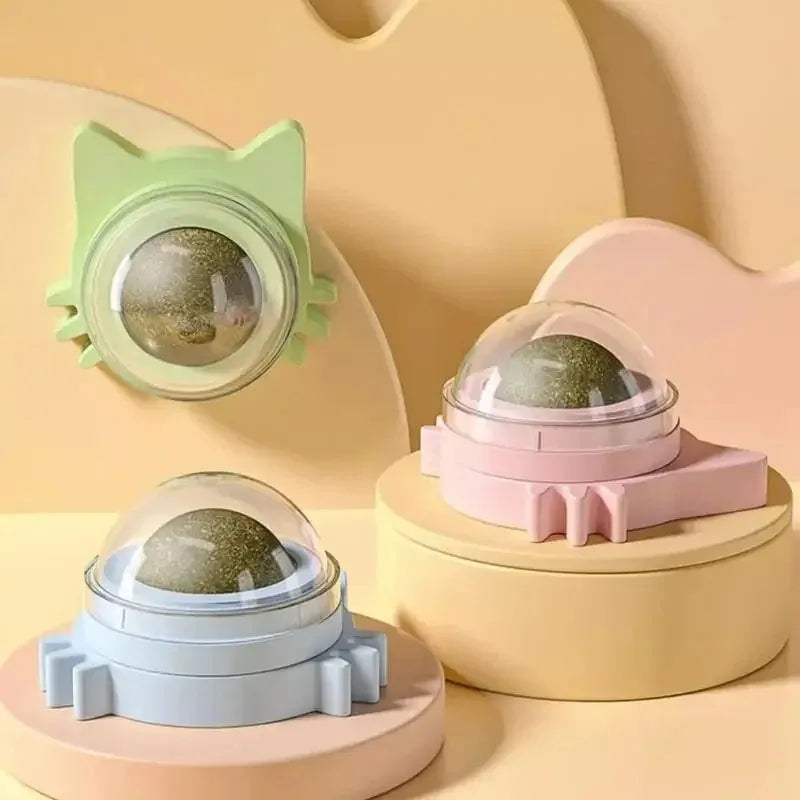 GrasTrek | Cat Play Ball for a Healthy Stomach and Happiness 1