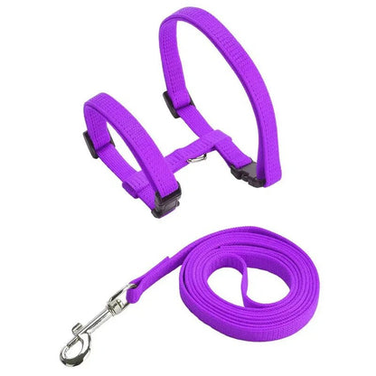 H-Shape Anti-Escape Dog and Cat Harness with Leash – Adjustable Comfortable Nylon for Small Pets 11