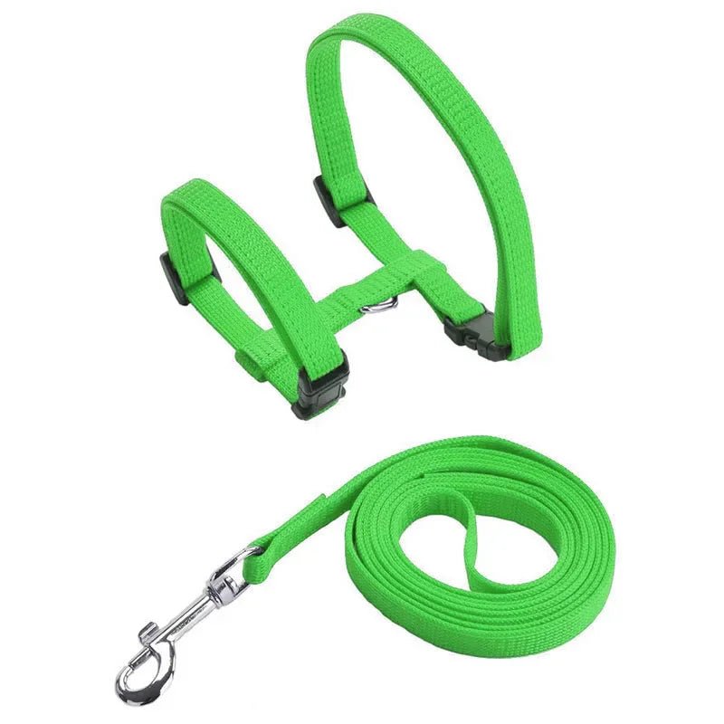 H-Shape Anti-Escape Dog and Cat Harness with Leash – Adjustable Comfortable Nylon for Small Pets 14