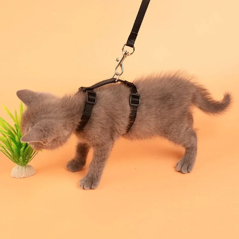 H-Shape Anti-Escape Dog and Cat Harness with Leash – Adjustable Comfortable Nylon for Small Pets 4