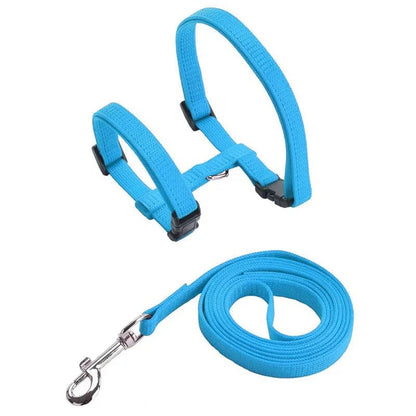 H-Shape Anti-Escape Dog and Cat Harness with Leash – Adjustable Comfortable Nylon for Small Pets 8