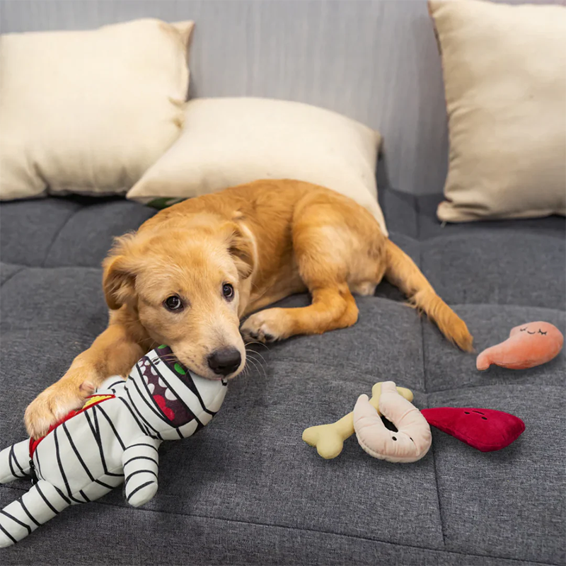 Halloween Mummy Dog Toy with Squeaky Organs – Fun Plush Chew Toy for Dogs 1