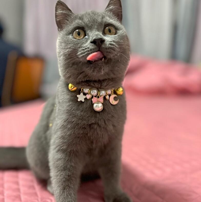 Handmade Pearl Pet Collar – Elegant Faux Pearl Necklace for Dogs and Cats 1