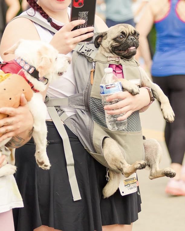Hands-Free Dog Carrier Backpack for Small to Medium Pets – Adjustable and Breathable Design 7