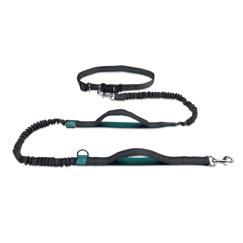 Hands-Free Dog Leash with Adjustable Hip Belt for Running and Walking – Shock-Absorbing Design 0