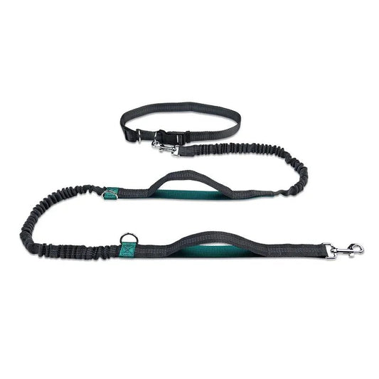 Hands-Free Dog Leash with Adjustable Hip Belt for Running and Walking – Shock-Absorbing Design 0