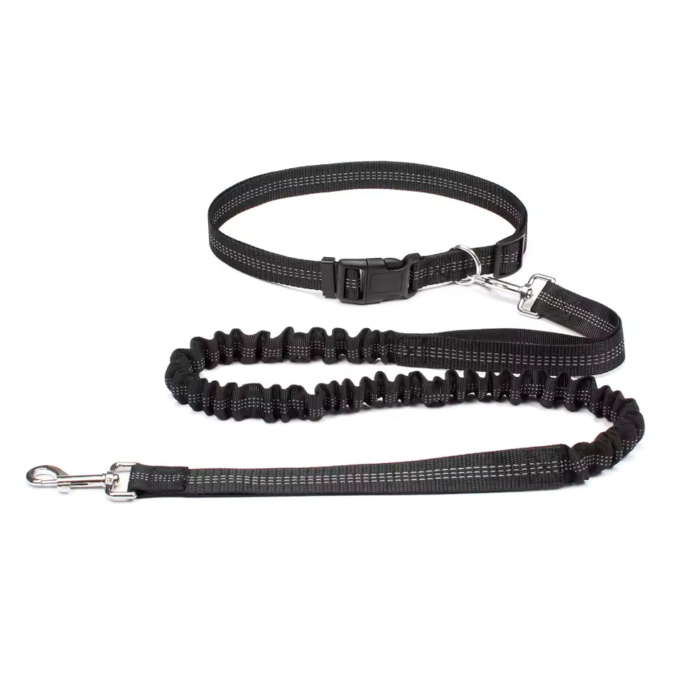 Hands-Free Dog Leash with Adjustable Waist Belt and Dual Bungee System 0