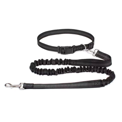 Hands-Free Dog Leash with Adjustable Waist Belt and Dual Bungee System 0
