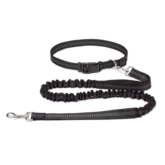 Hands-Free Dog Leash with Adjustable Waist Belt and Dual Bungee System 0