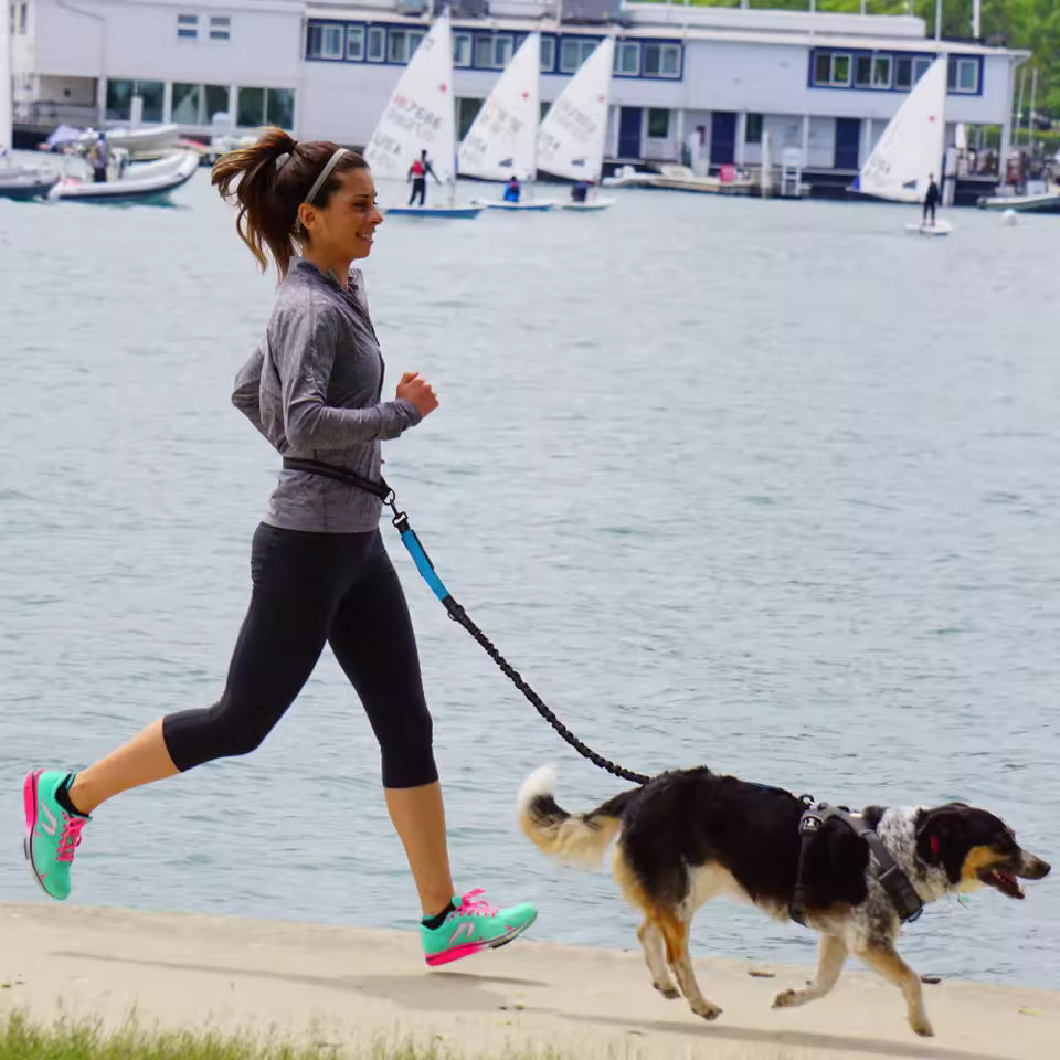 Hands-Free Dog Leash with Adjustable Waist Belt and Dual Bungee System 1